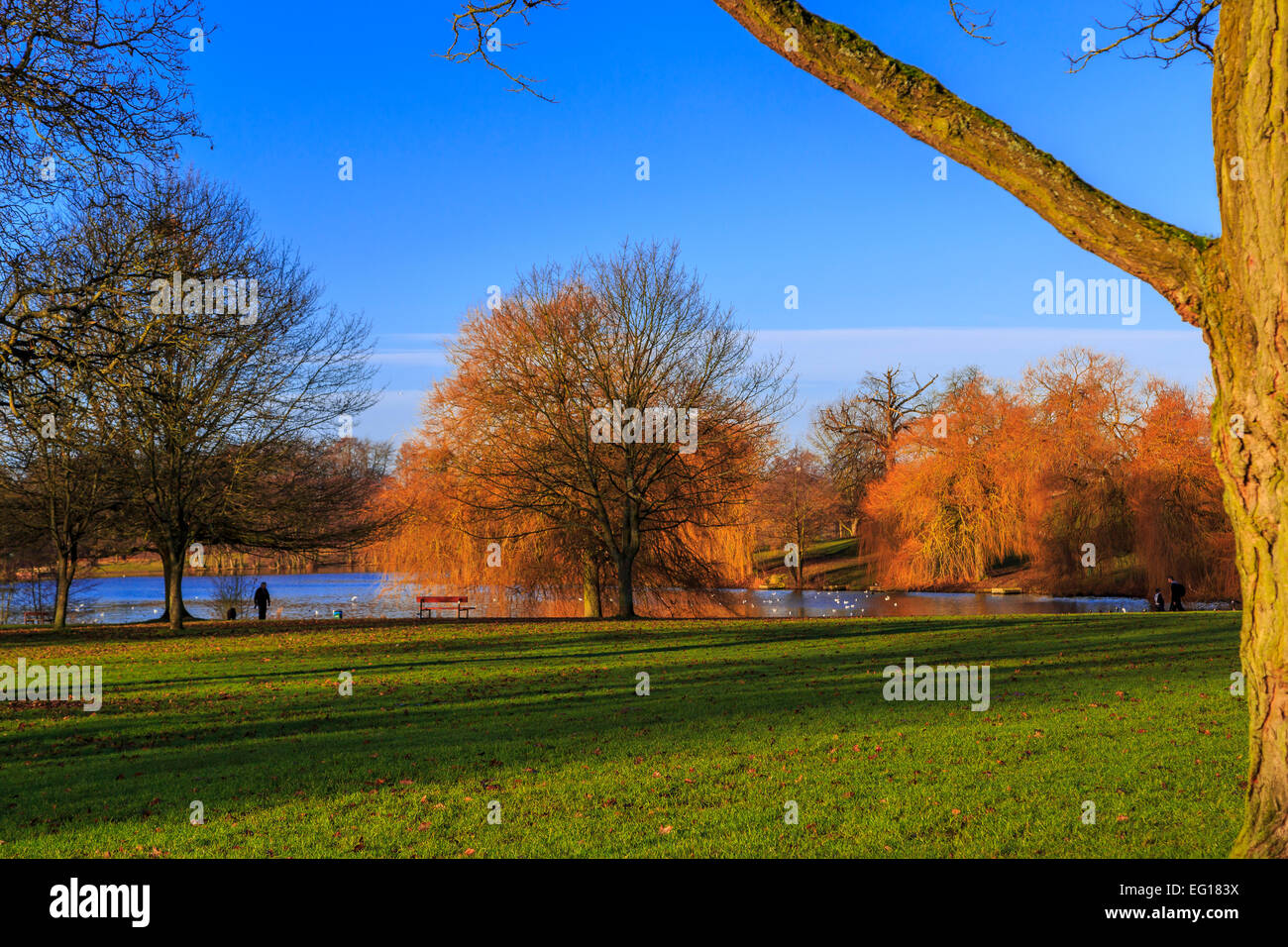 Des paysages pittoresques  ; à Himley Hall & Park à Dudley, West Midlands - le Pays Noir... ? Banque D'Images