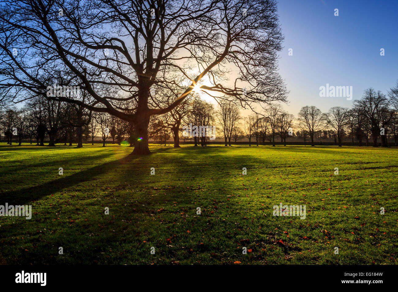 Des paysages pittoresques  ; à Himley Hall & Park à Dudley, West Midlands - le Pays Noir... ? Banque D'Images