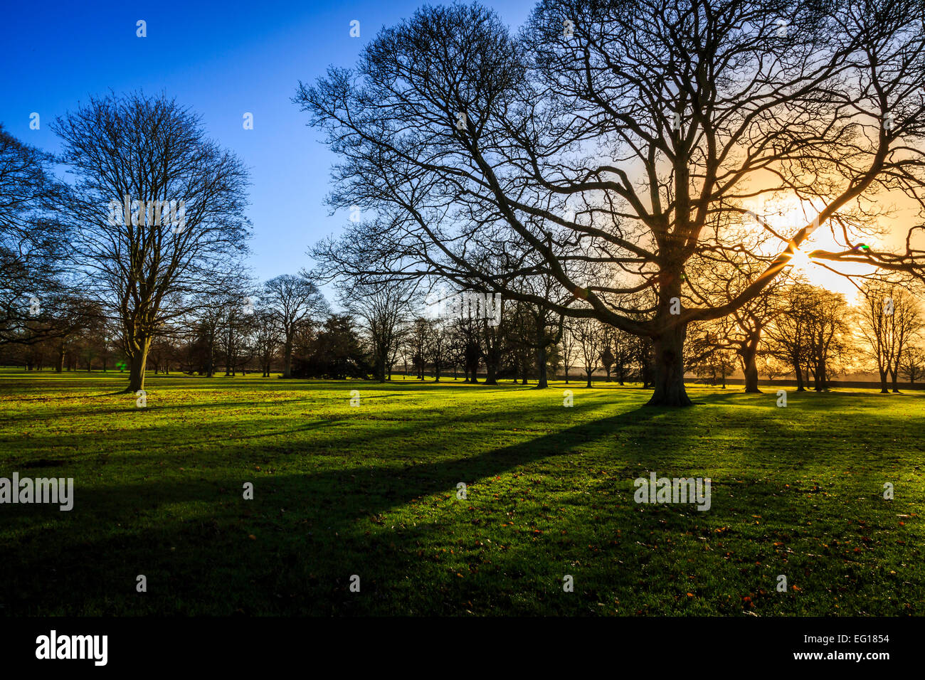 Des paysages pittoresques  ; à Himley Hall & Park à Dudley, West Midlands - le Pays Noir... ? Banque D'Images