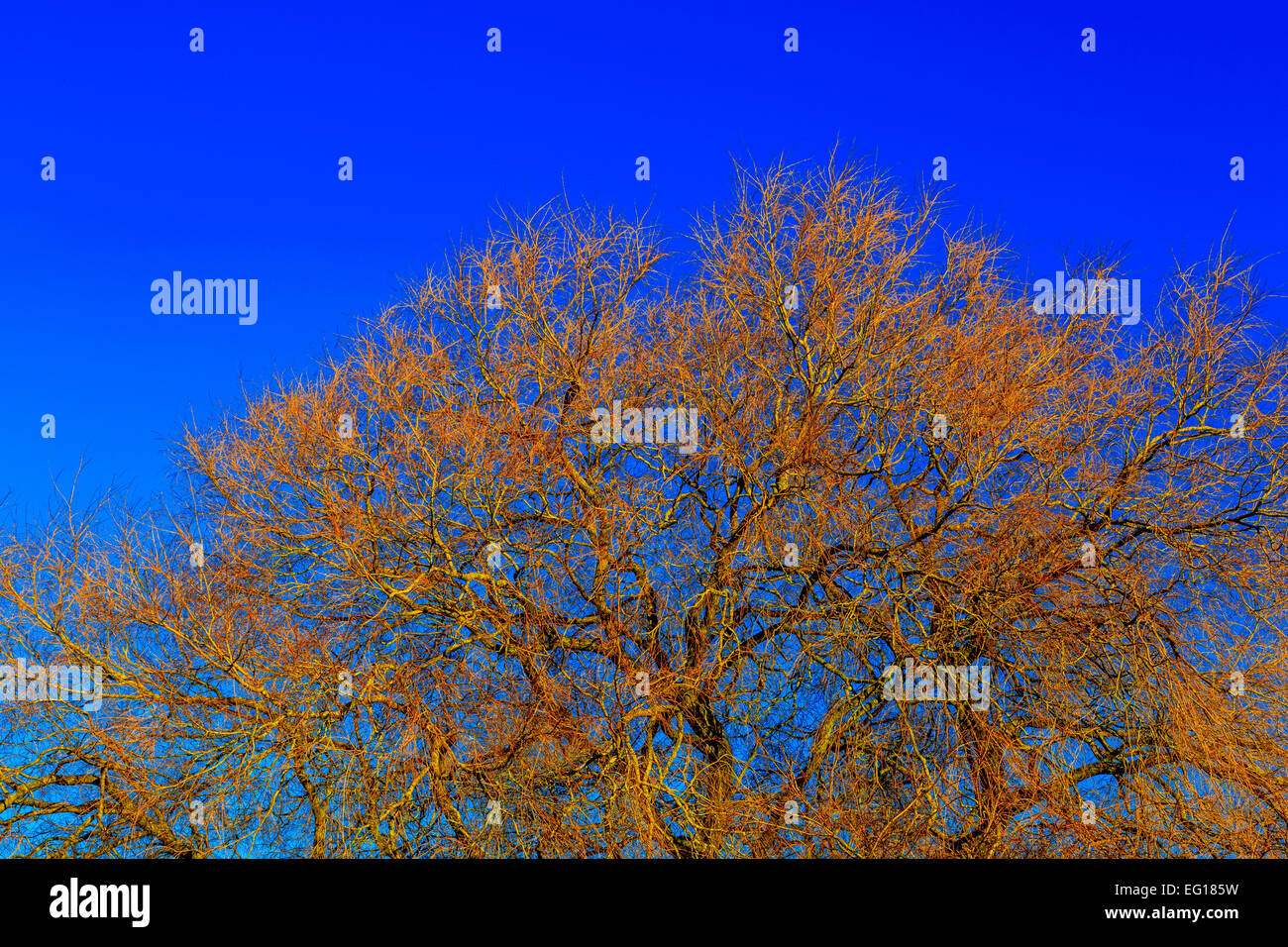 Des paysages pittoresques  ; à Himley Hall & Park à Dudley, West Midlands - le Pays Noir... ? Banque D'Images