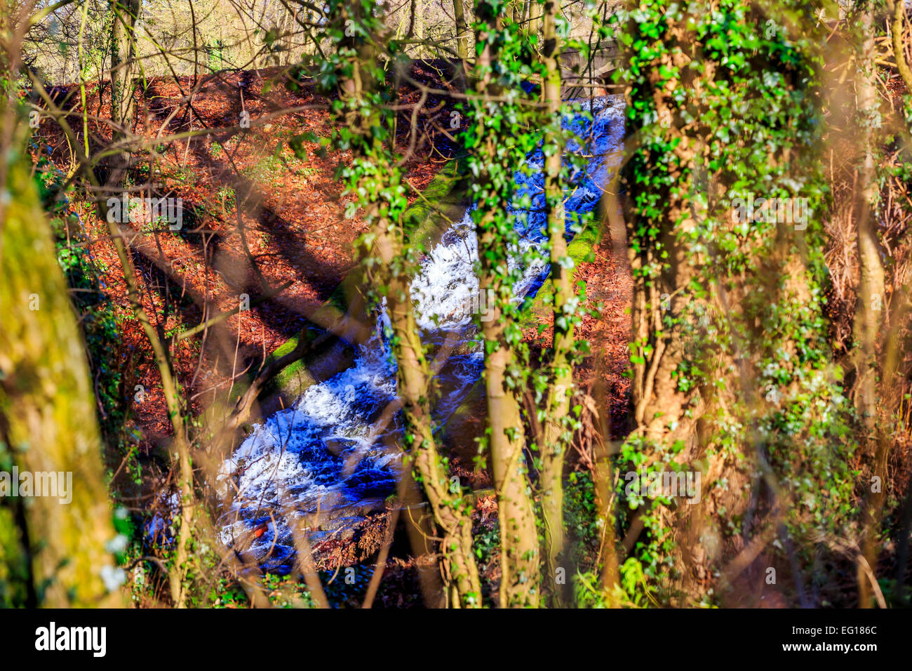 Des paysages pittoresques  ; à Himley Hall & Park à Dudley, West Midlands - le Pays Noir... ? Banque D'Images