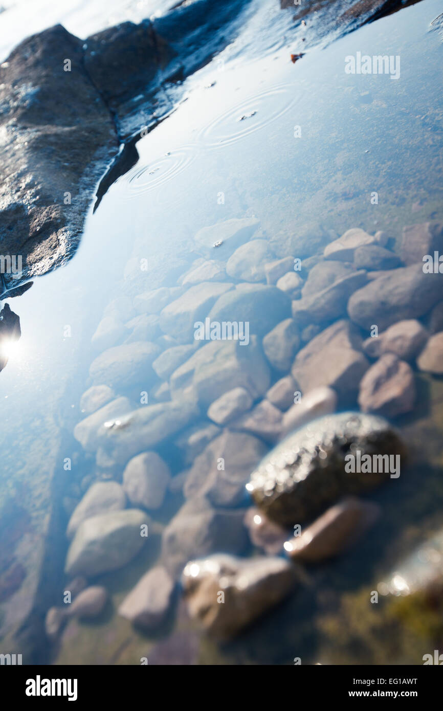 Mer croate en détail. Banque D'Images