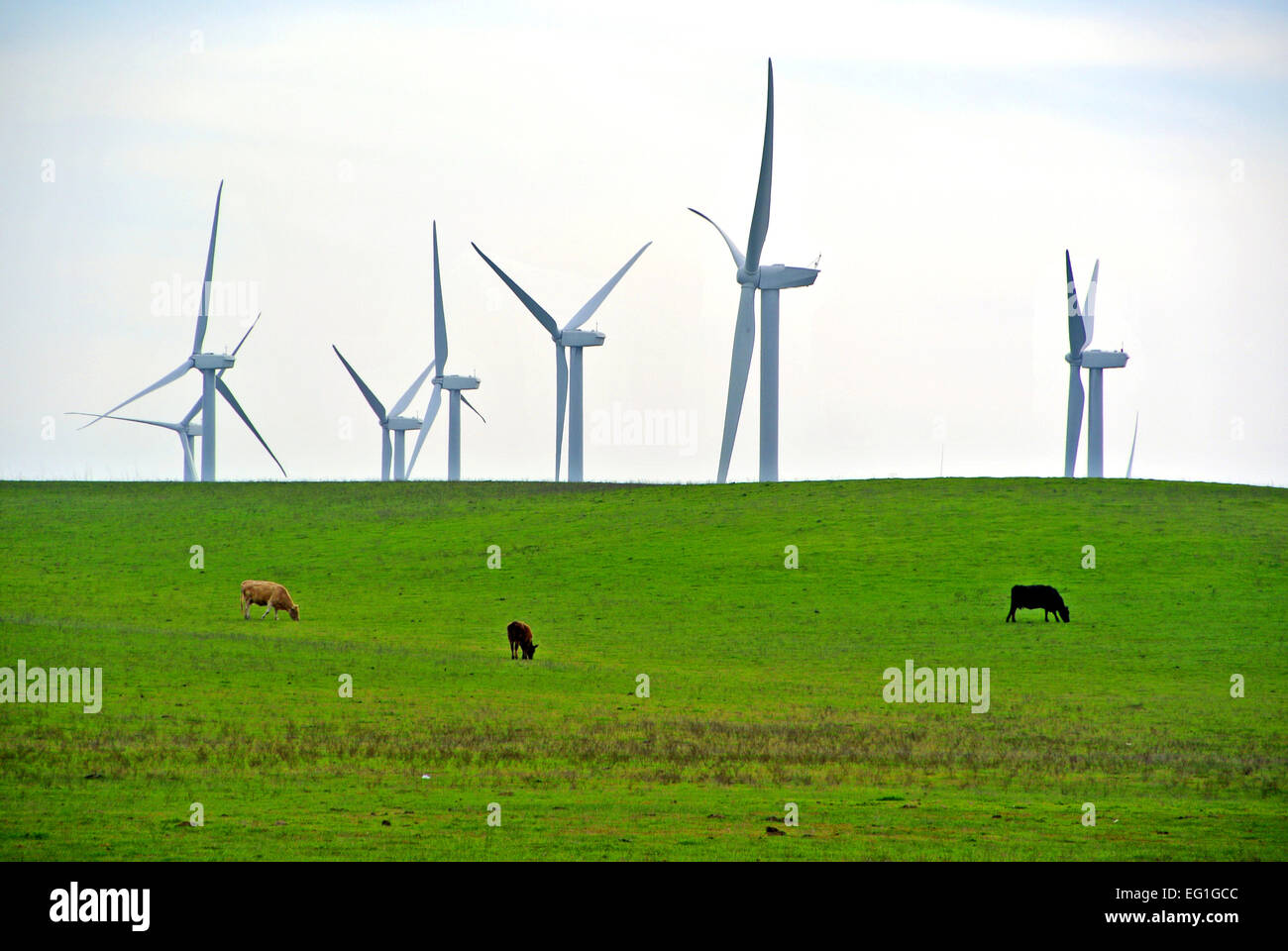 Wind mill farm situé dans le comté de Solano en Californie Honda Rio Banque D'Images