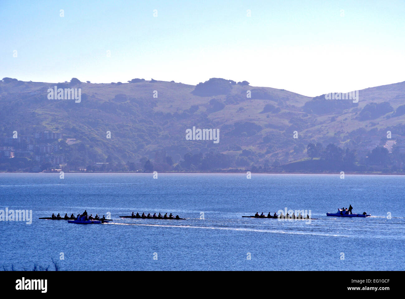 La formation des rameurs dans un huit dans la baie de San Francisco Californie Larkspur Banque D'Images