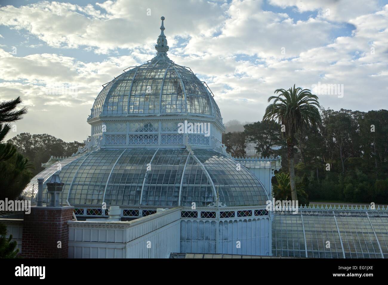 La Véranda victorienne de fleurs jardin botanique dans le parc du Golden Gate, San Francisco, Californie. Banque D'Images