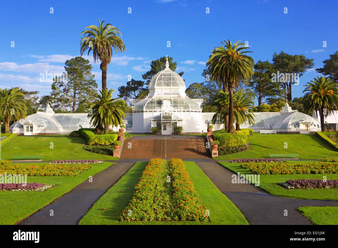 La Véranda victorienne de fleurs jardin botanique dans le parc du Golden Gate, San Francisco, Californie. Banque D'Images
