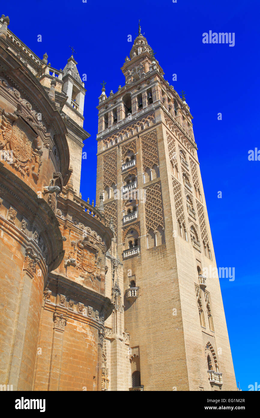 La Tour Giralda, de la cathédrale Sainte Marie de l'Voir (Catedral de Santa Maria de la Sede), Séville, Andalousie, Espagne Banque D'Images