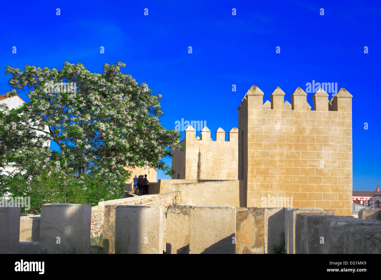 L'Alcazaba (château), Badajoz, Estrémadure, Espagne Banque D'Images