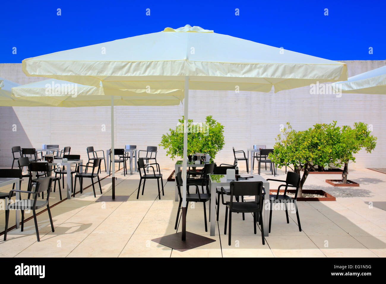 Cafe, Medina Azahara, Cordoue, Andalousie, Espagne Banque D'Images