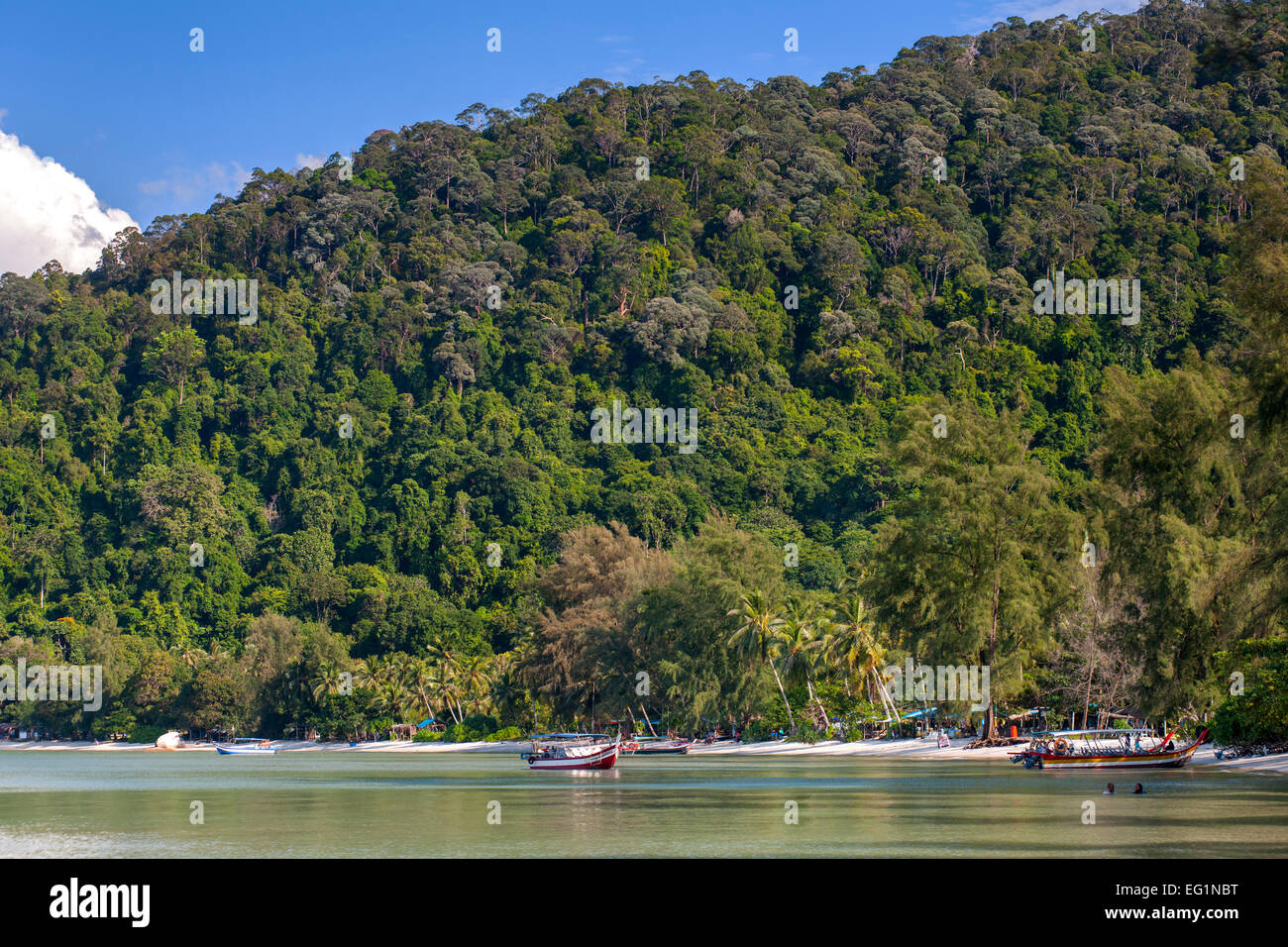 Monkey Beach dans le parc national de Penang à Penang, Malaisie. Banque D'Images