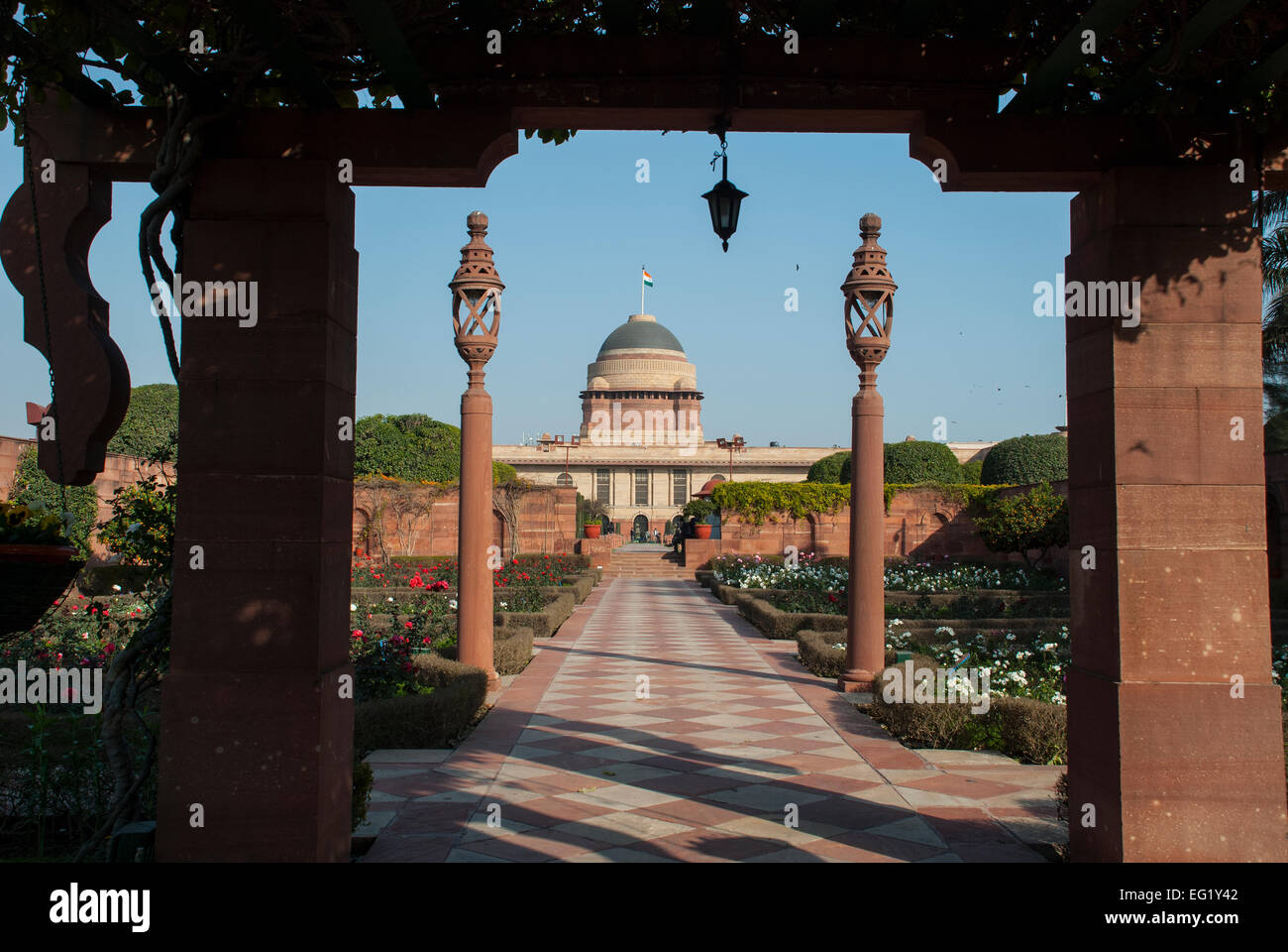 New Delhi, Inde. Feb 13, 2015. Le Président indien Pranab Mukherjee a inauguré 'Udyanotsav» au jardin Moghol pour public le 13 Feb.15 à Rashtrapati Bahavan, New Delhi. Mughal Gardens de Rashtrapati Bhavan est l'un des plus beaux jardins du monde. Credit : PREM KAPOOR/Alamy Live News Banque D'Images