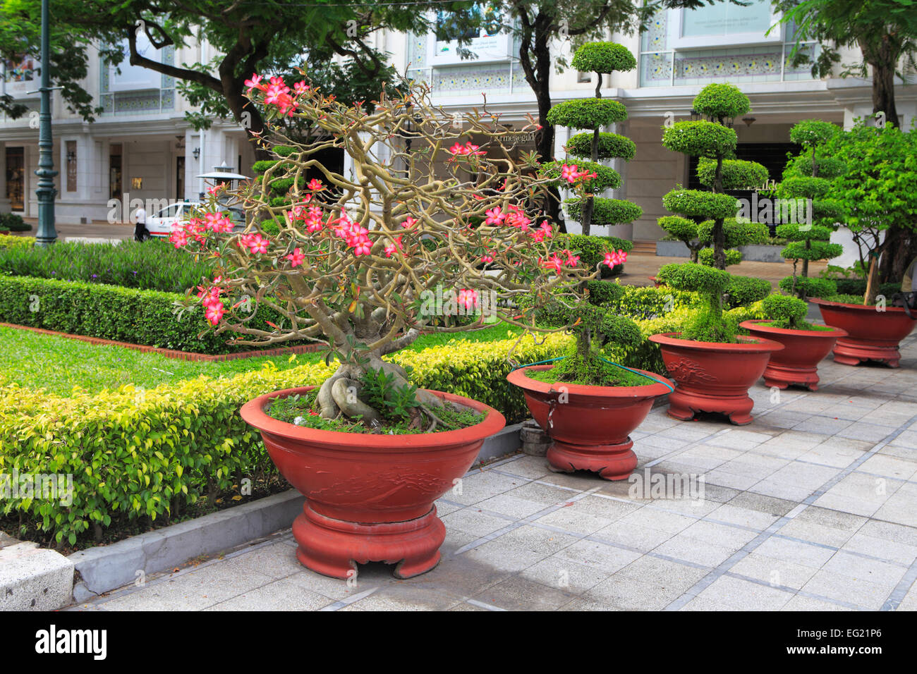 Des fleurs dans le parc de la ville, Ho Chi Minh Ville (Saigon), Vietnam Banque D'Images
