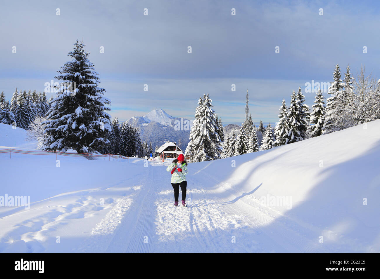 Plateau d'AGY, Saint-Sigismond, Haute-Savoie, France Banque D'Images