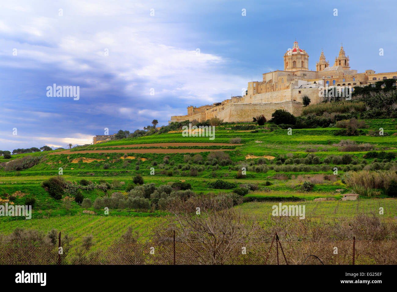 Vue de la ville Mdina, Malte Banque D'Images