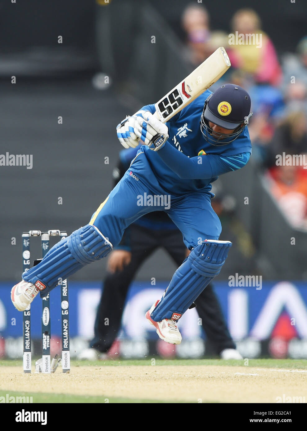 14.02.2015. Christchurch, Nouvelle-Zélande. Kumar Sangakkara est piégé par IPN Boult au cours de l'ICC Cricket World Cup match entre la Nouvelle-Zélande et le Sri Lanka à Hagley ovale dans Christchurch, Nouvelle Zélande. Samedi 14 février 2015. Banque D'Images