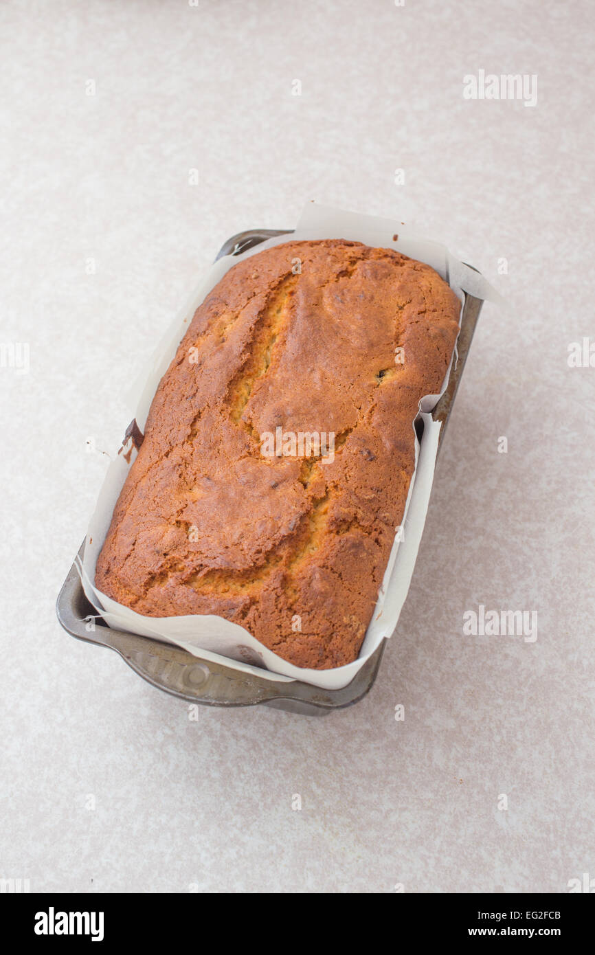 Des petits, fait maison, orange et d'abricot gâteau juste après la sortie du four. Banque D'Images