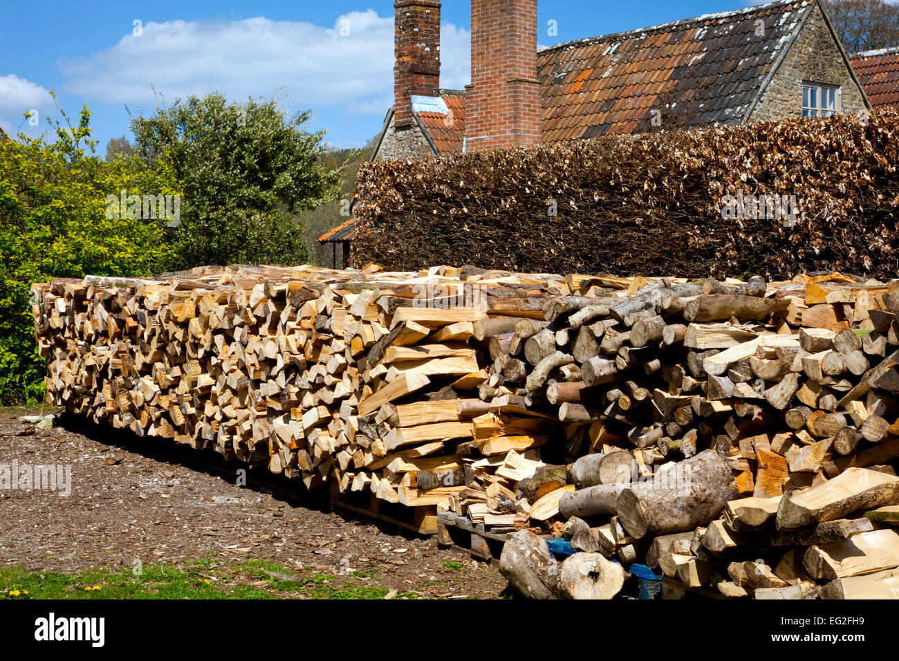 Le séchage des tas de bois à Mapperton House Gardens, Dorset, England, UK Banque D'Images
