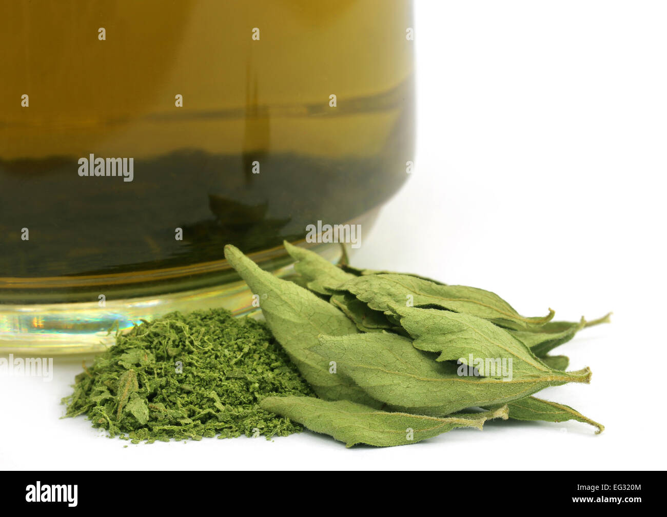 Un thé avec des feuilles de Stevia dired sur fond blanc Banque D'Images