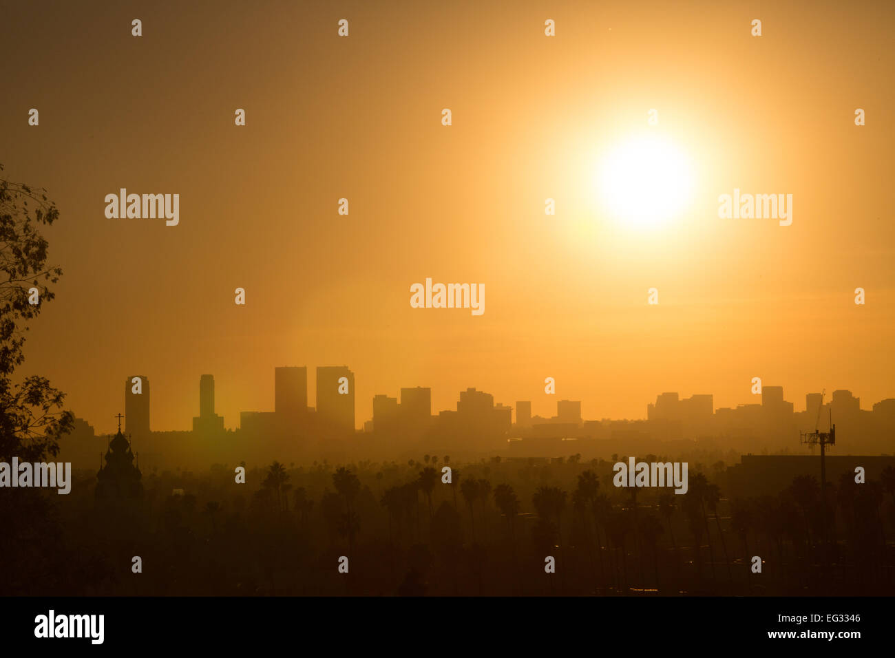 Coucher de soleil sur la colline d'olive de Hollywood à Los Angeles, CA, USA Banque D'Images