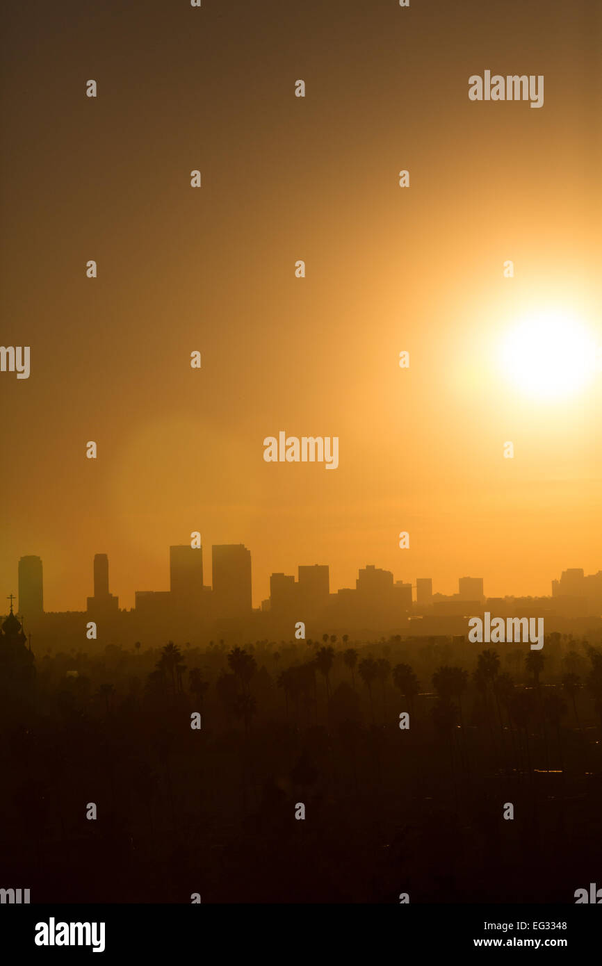 Coucher de soleil sur la colline d'olive de Hollywood à Los Angeles, CA, USA Banque D'Images