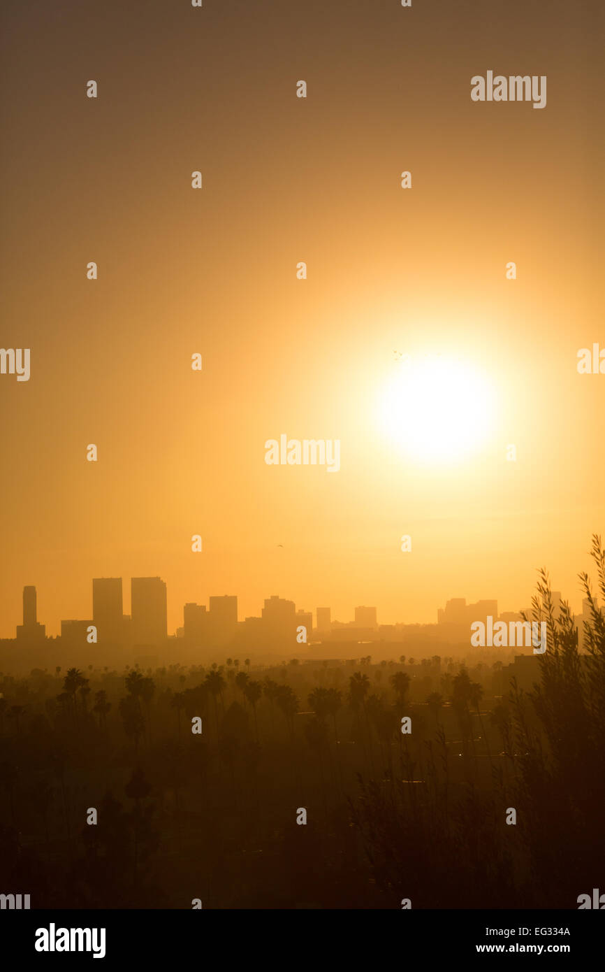 Coucher de soleil sur la colline d'olive de Hollywood à Los Angeles, CA, USA Banque D'Images