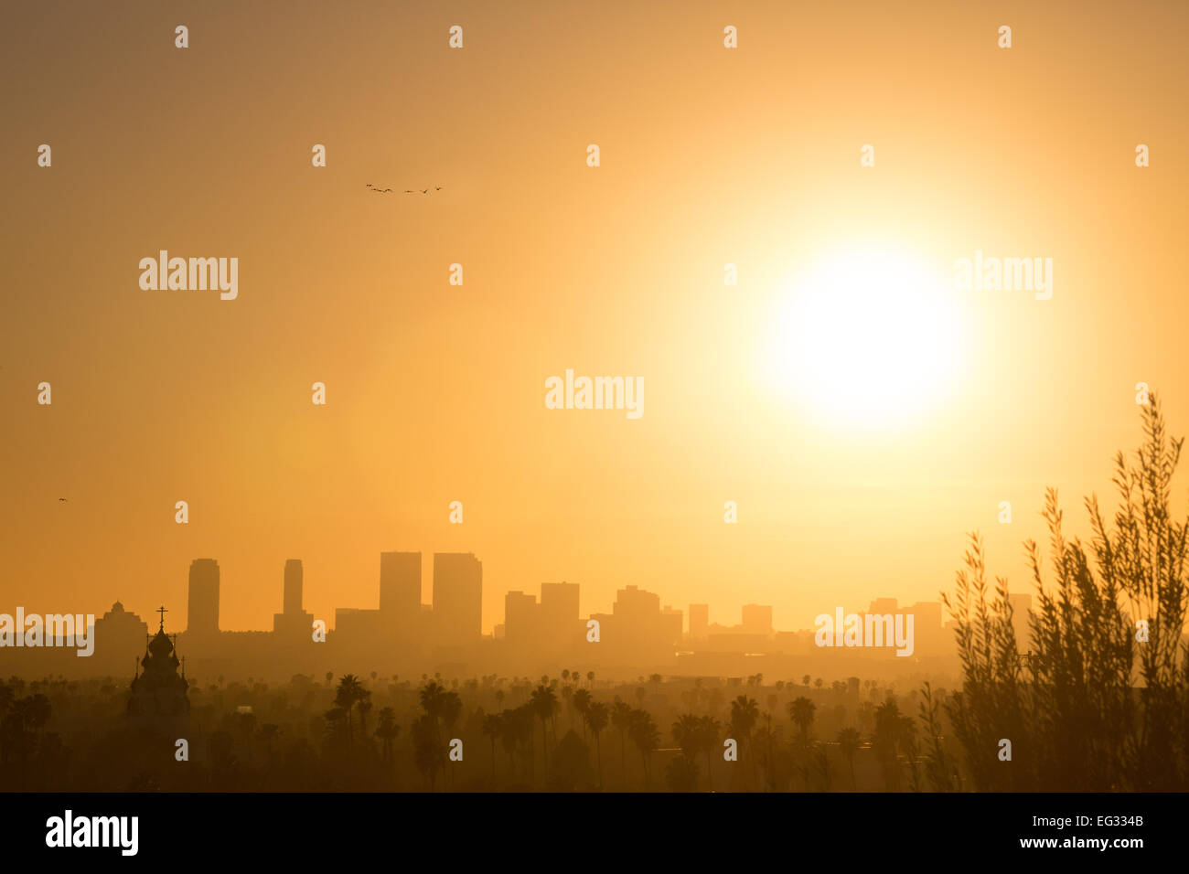 Coucher de soleil sur la colline d'olive de Hollywood à Los Angeles, CA, USA Banque D'Images