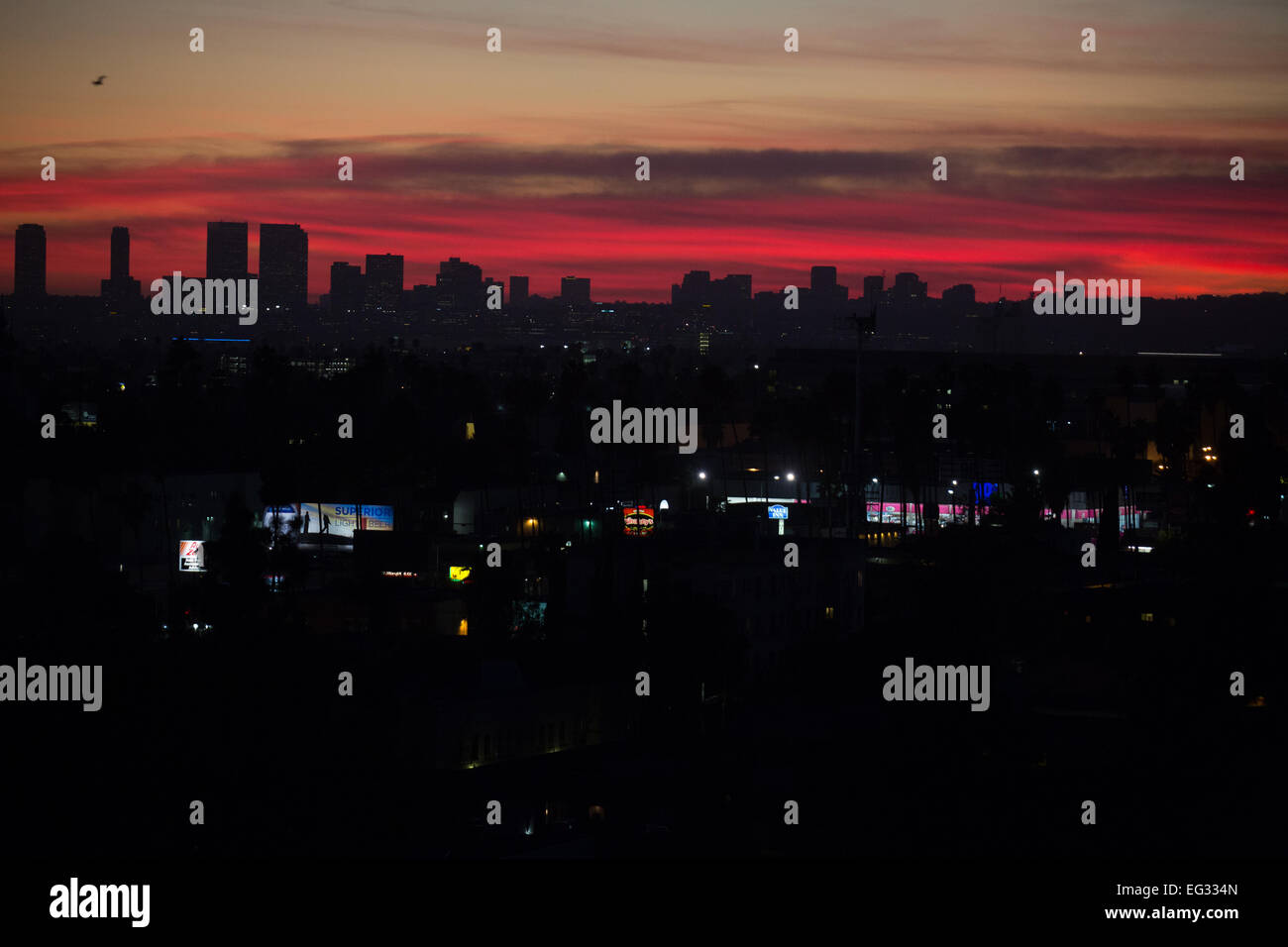 Coucher de soleil sur la colline d'olive de Hollywood à Los Angeles, CA, USA Banque D'Images