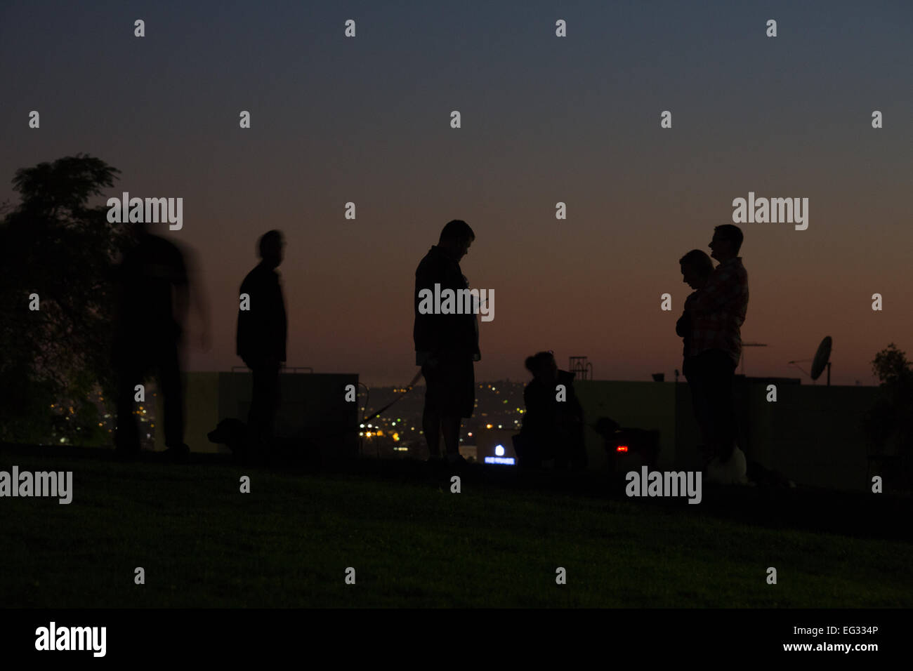 Voisins à pied leurs chiens sur la colline d'olive à Hollywood, Los Angeles, CA au coucher du soleil. Banque D'Images