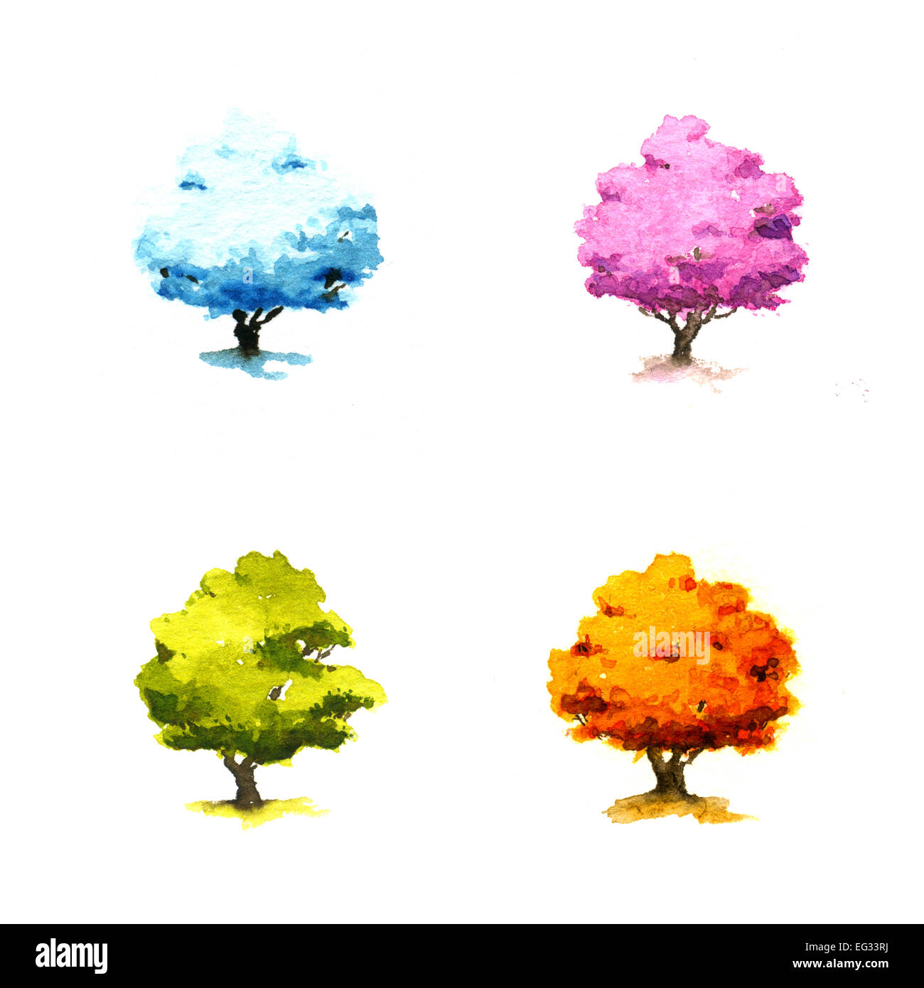 Les arbres dans les différentes saisons. Illustration à l'aquarelle Banque D'Images