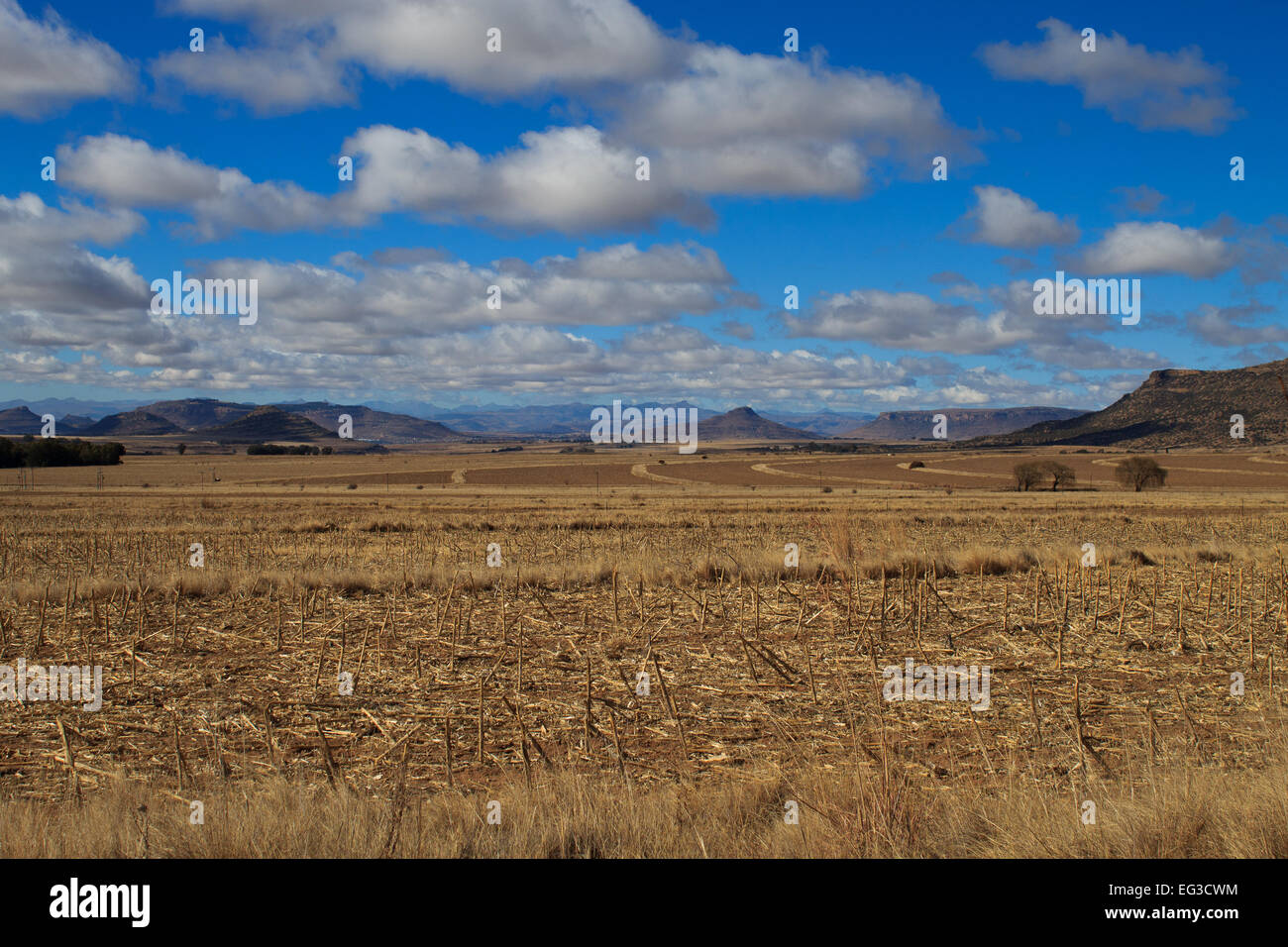 Paysage d'Afrique du Sud Banque D'Images