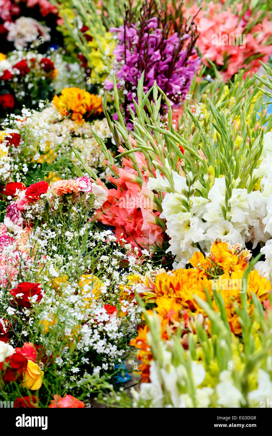Les fleurs coupées, Pisac Marché Dimanche, Cusco, Pérou Banque D'Images