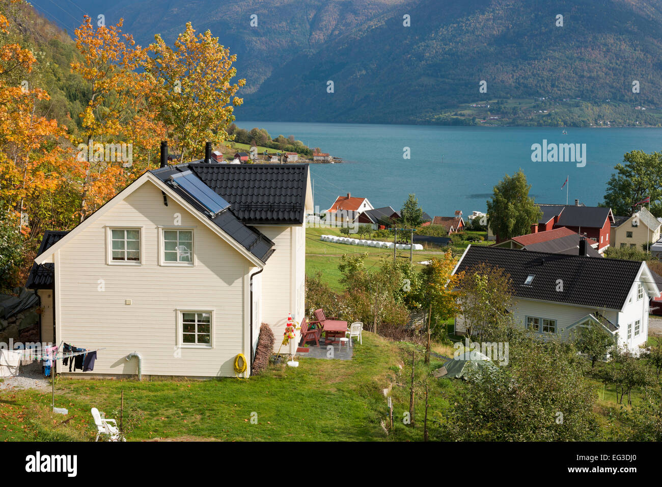 Solvorn, village à l'Lustrafjord, branche interne du Sognefjord,norvégien typique, maisons en automne Banque D'Images