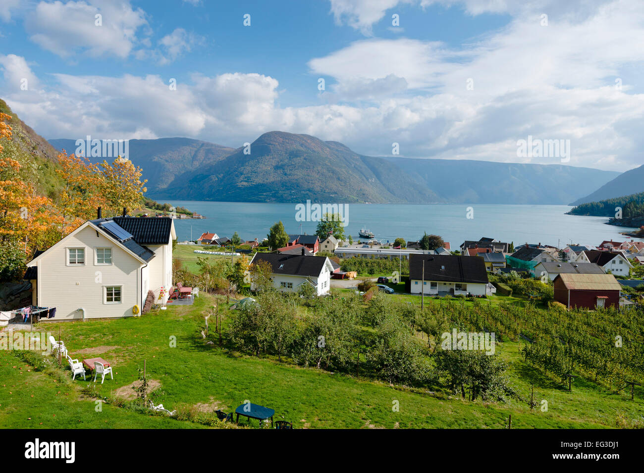 Solvorn, village à l'Lustrafjord, branche interne du Sognefjord,norvégien typique, maisons en automne Banque D'Images