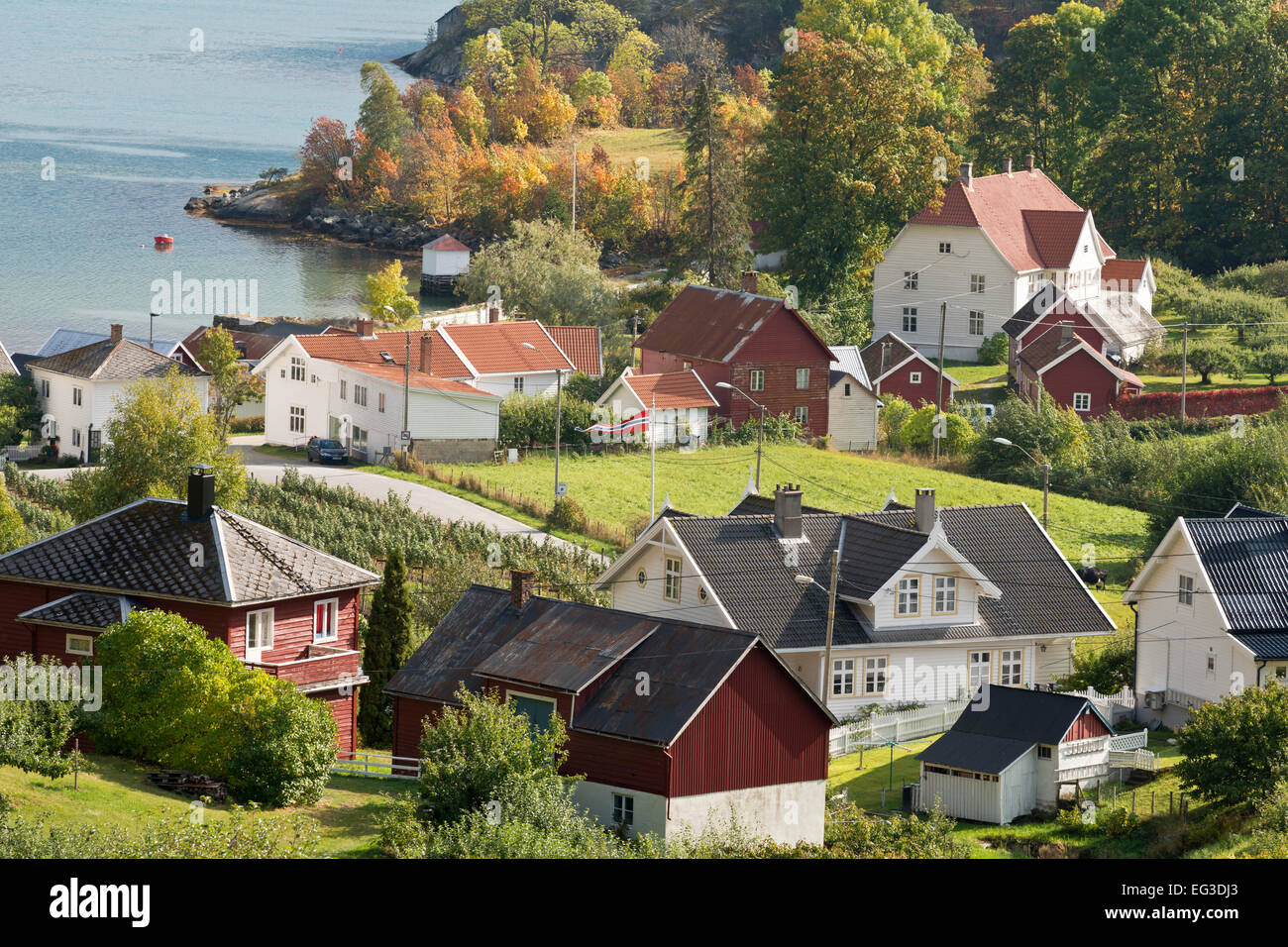 Solvorn, village à l'Lustrafjord, branche interne du Sognefjord,norvégien typique, maisons en automne Banque D'Images
