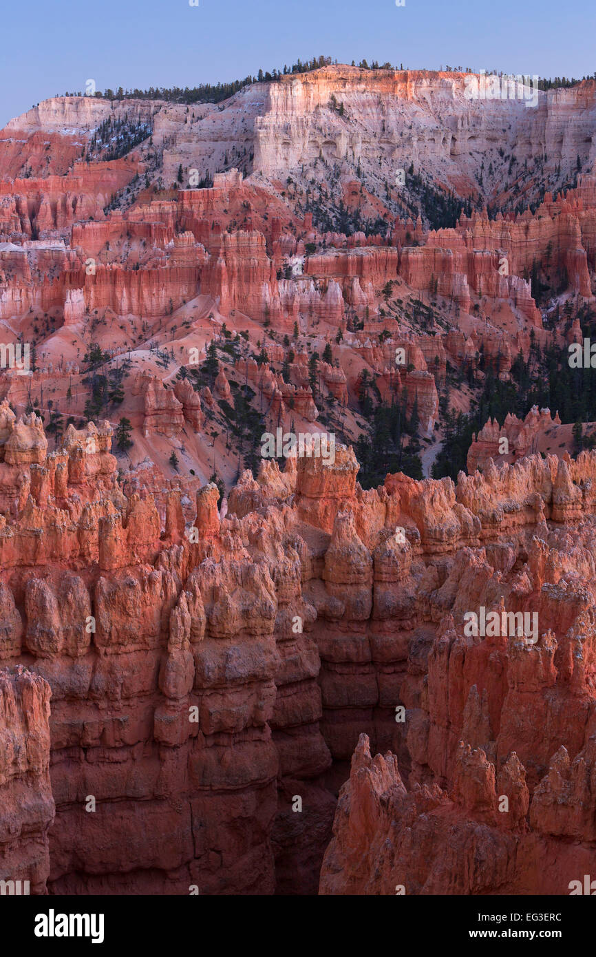 Le Parc National de Bryce Canyon, au crépuscule, de l'Utah. L'automne. Banque D'Images
