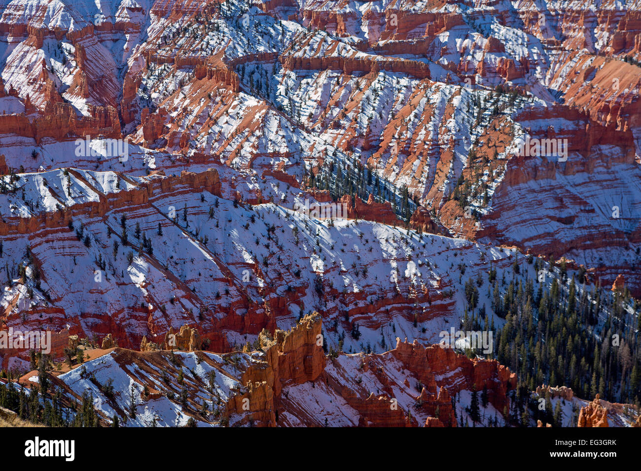 La neige recouvre Cedar Breaks National Monument (Utah) à l'automne. USA Banque D'Images