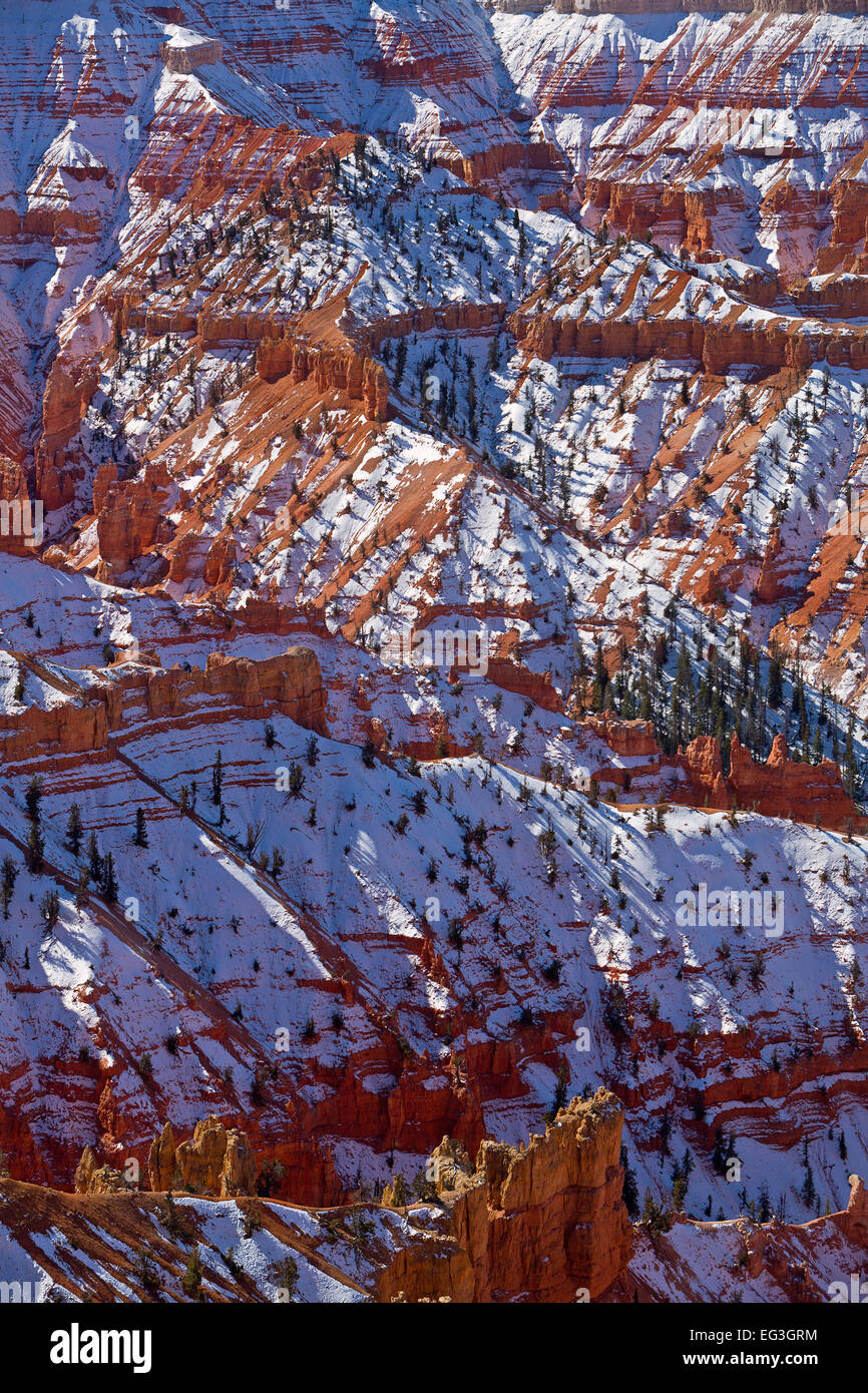 La neige recouvre Cedar Breaks National Monument (Utah) à l'automne. USA Banque D'Images