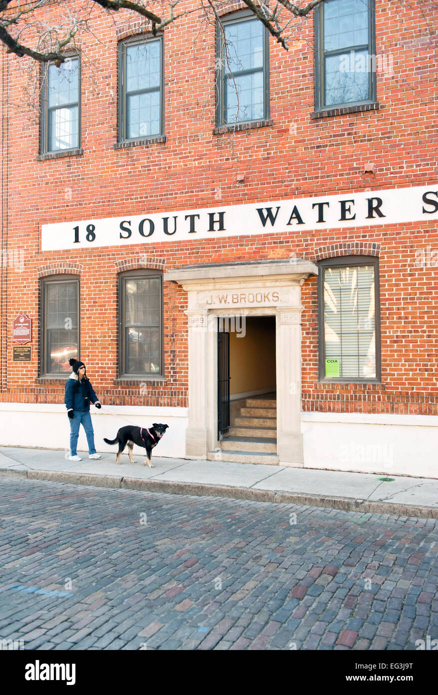 Woman Walking Dog sur Water Street, Wilmington, Caroline du Nord. Banque D'Images
