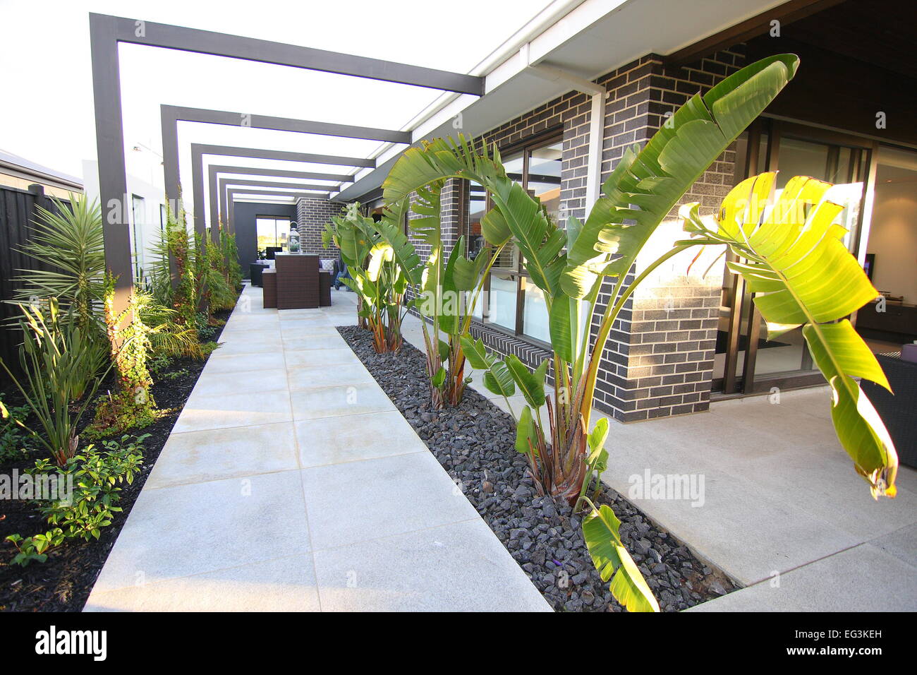 Jardin d'une banlieue moderne maison à Melbourne, Australie Banque D'Images