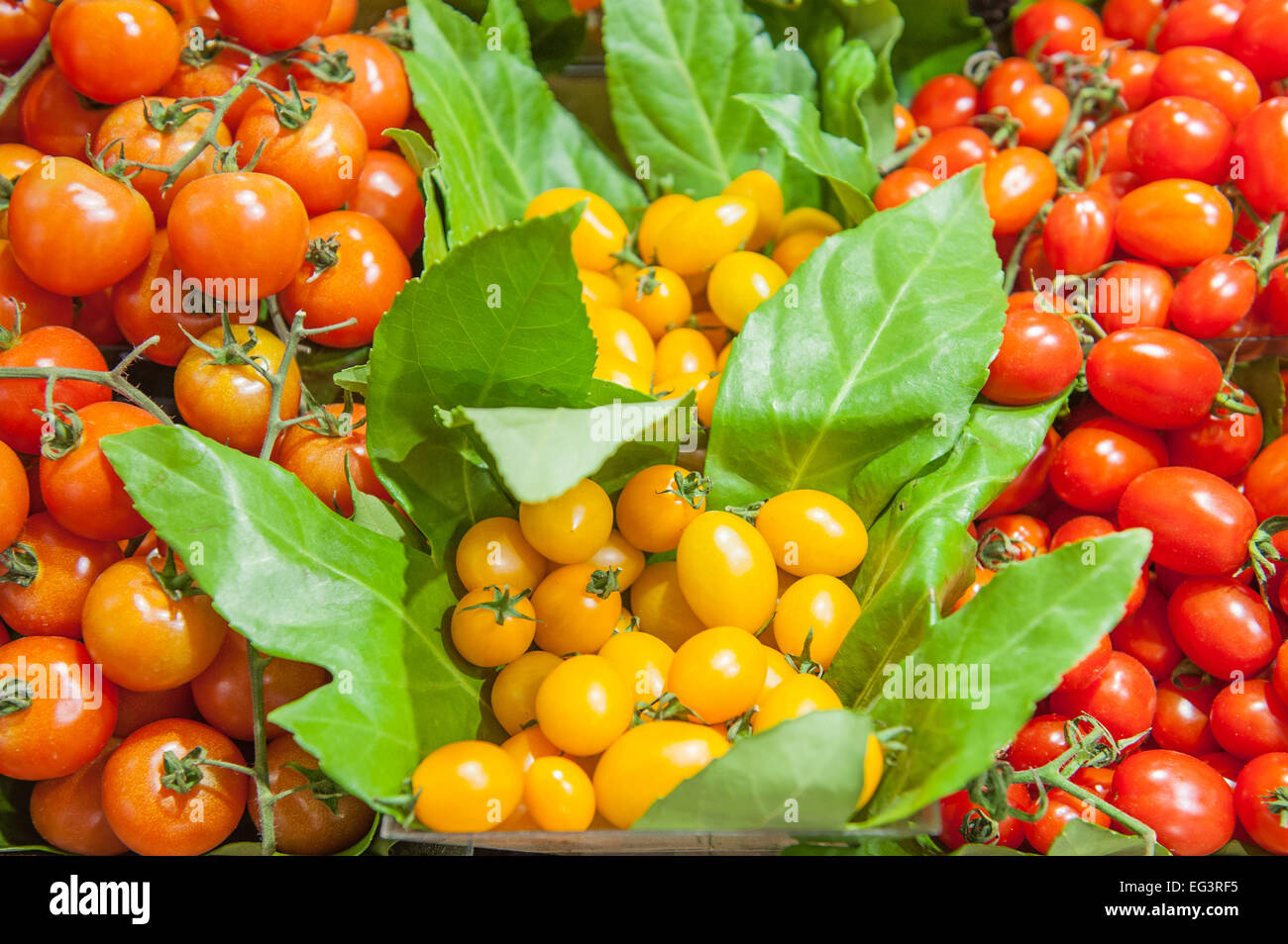 Les tomates rouges et jaunes sur une tablette de marché, Close up avec out of focus de l'arrière-plan Banque D'Images