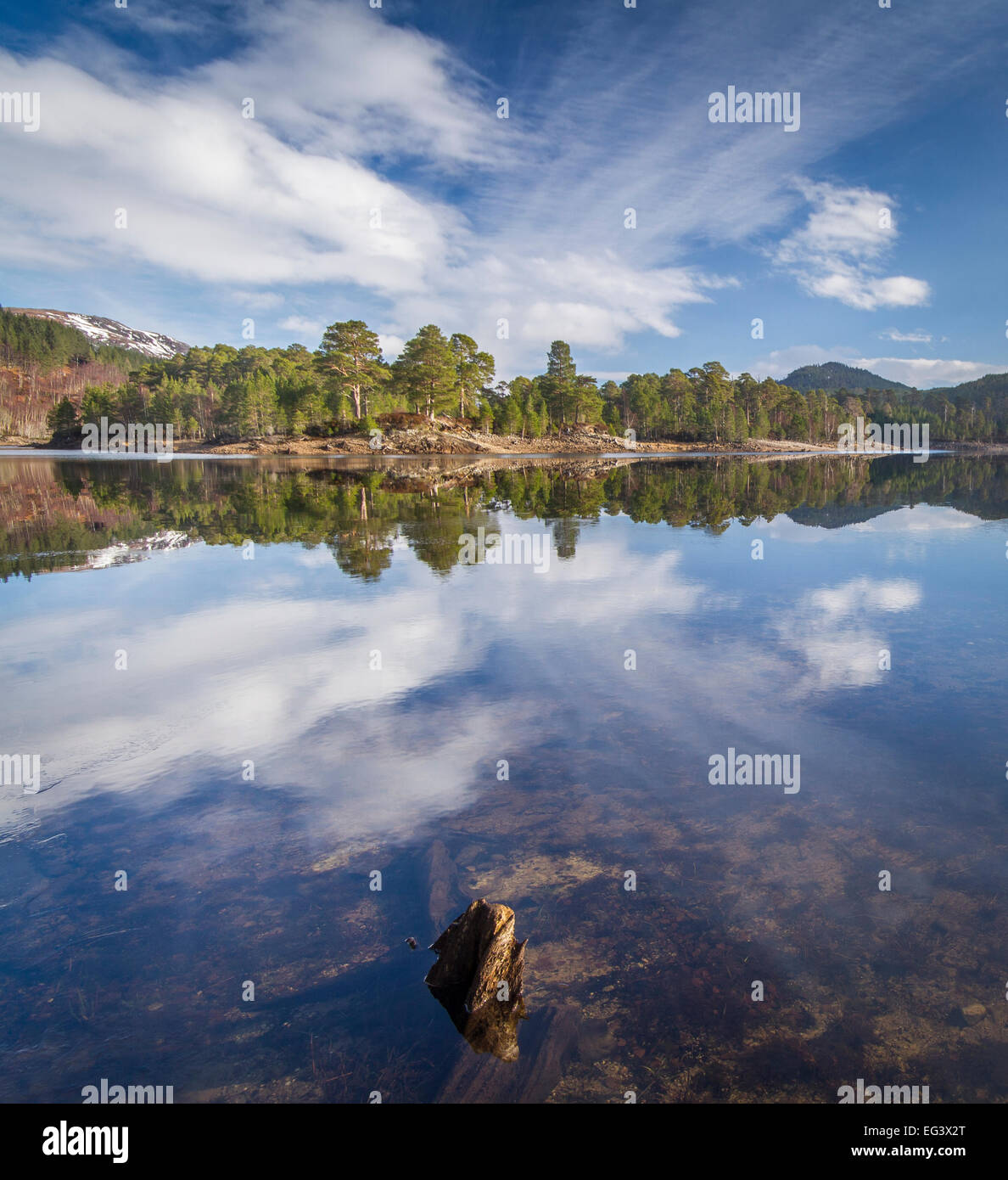 Les forêts reflète dans les eaux calmes d'un loch Beinn mheadhoin, Glen Affric, Highland, Scotland Banque D'Images
