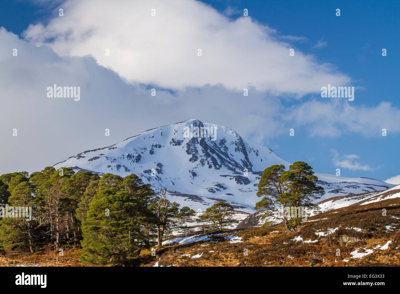 Sgurr na Lapaich, Glen Affric Banque D'Images