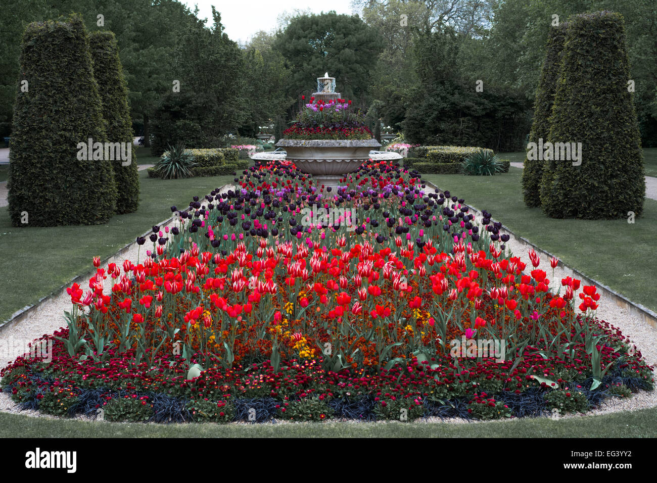 Regent's Park les tulipes Banque D'Images