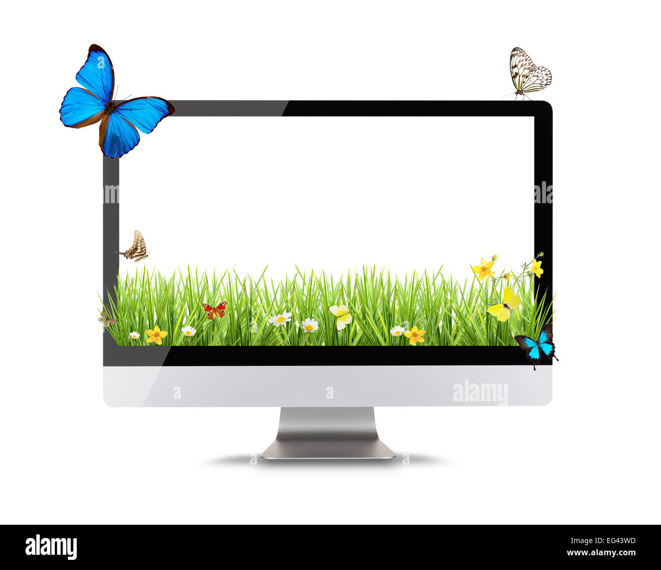 Affichage de l'ordinateur moderne avec spring meadow et papillons. Concept de spring shopping et de la technologie. Vue de face. Banque D'Images