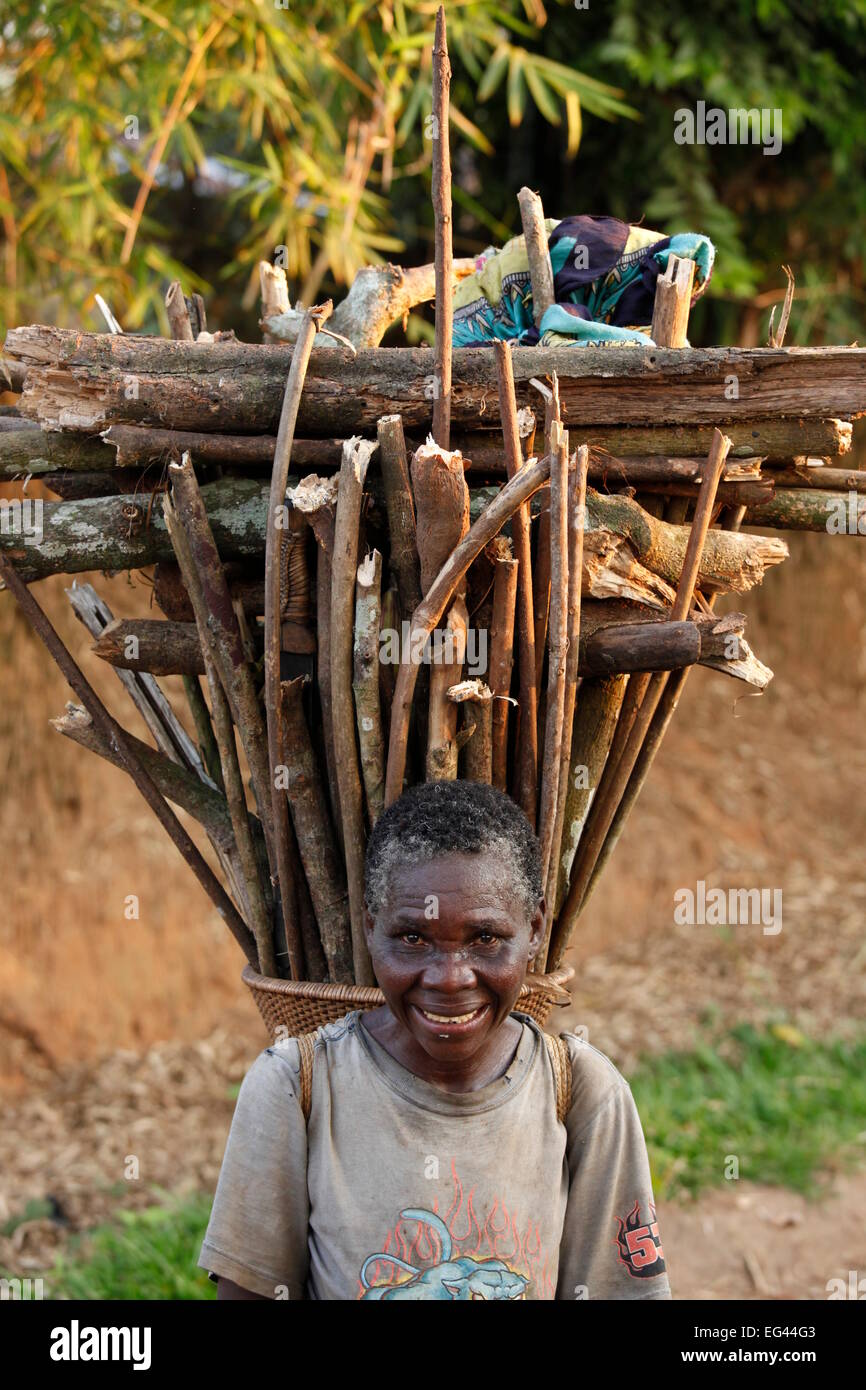 Vieille Femme avec du bois sur son dos, Kasongo Lunda, Kawangoregion, Congo Banque D'Images