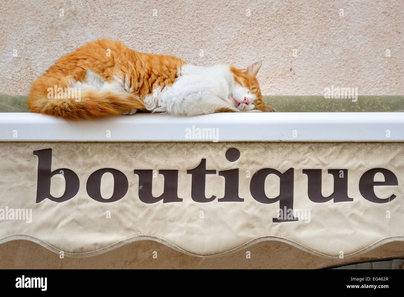 Chat dormir sur un tapis d'auvent d'une boutique, Bonifacio, Corse-du-Sud, Corse, France Banque D'Images