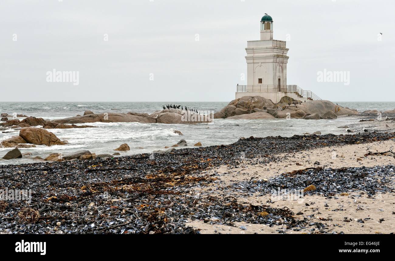 Phare et colonie de cormorans à Shelley Point, Stompneusbaai, Western Cape, Afrique du Sud Banque D'Images