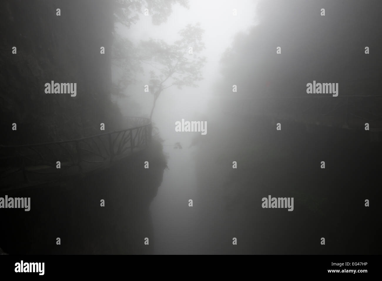 Sentier de randonnée dans le brouillard, la montagne Tianmen, Parc National du Mont Tianmen, Yongding, Zhangjiajie, Chine Banque D'Images