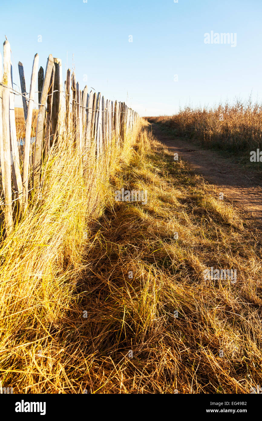 Batons De Defense Cloture Chataignier Mer Defenses De Poteaux En Bois En Bois De La Ville De Cleethorpes Lincolnshire Uk Angleterre Photo Stock Alamy