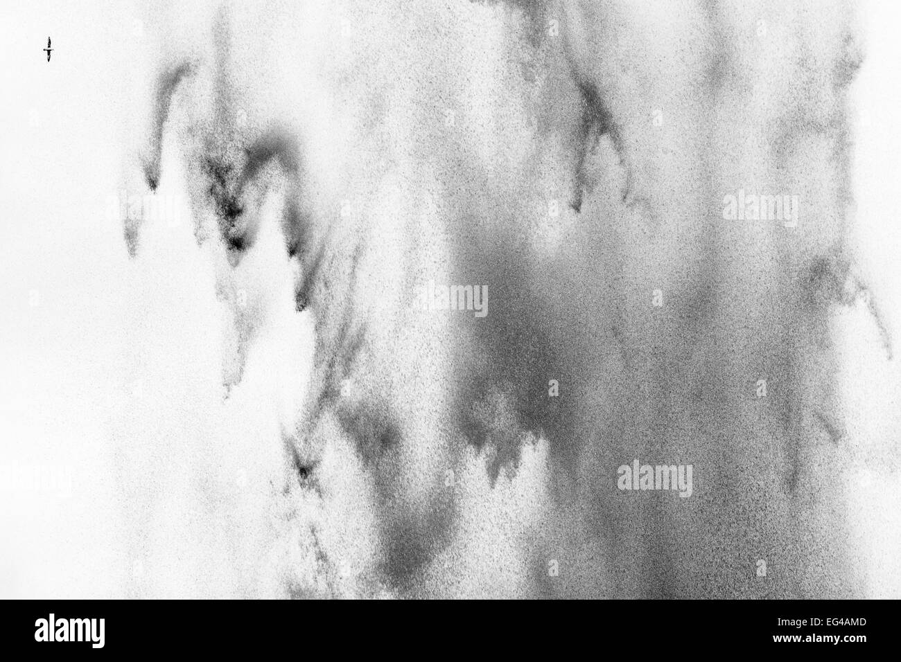 Abstract black white shot distantt Fulmar (Fulmarus glacialis) battant par Seljaland Islande cascade Février. Finaliste dans la catégorie des oiseaux le concours GDT 2013. Banque D'Images